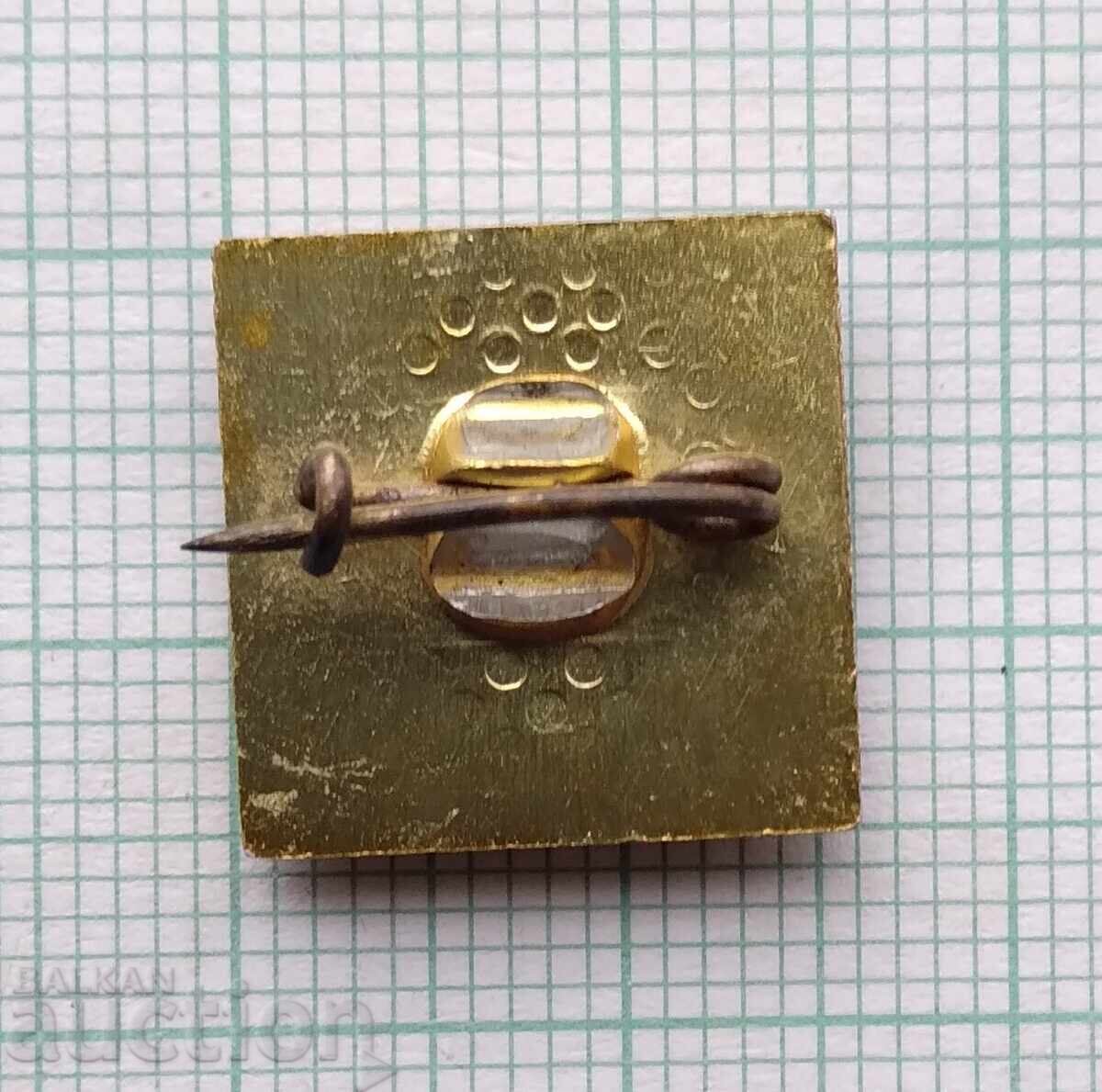 Auction  18096 Badge - TNTM Pleven