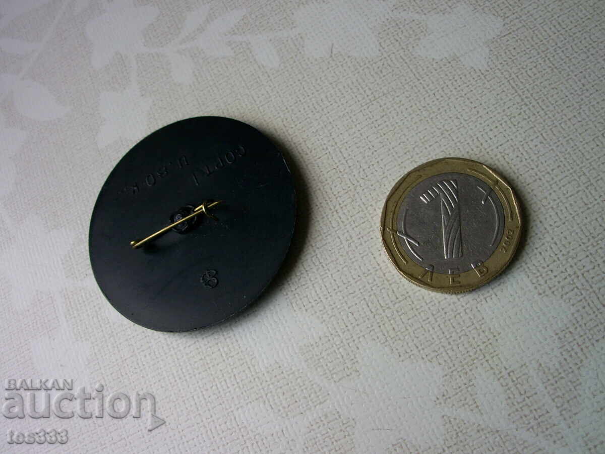 Broșă cu insignă pictată manual URSS - 6 Broșă cu insignă pictată manual URSS - 6