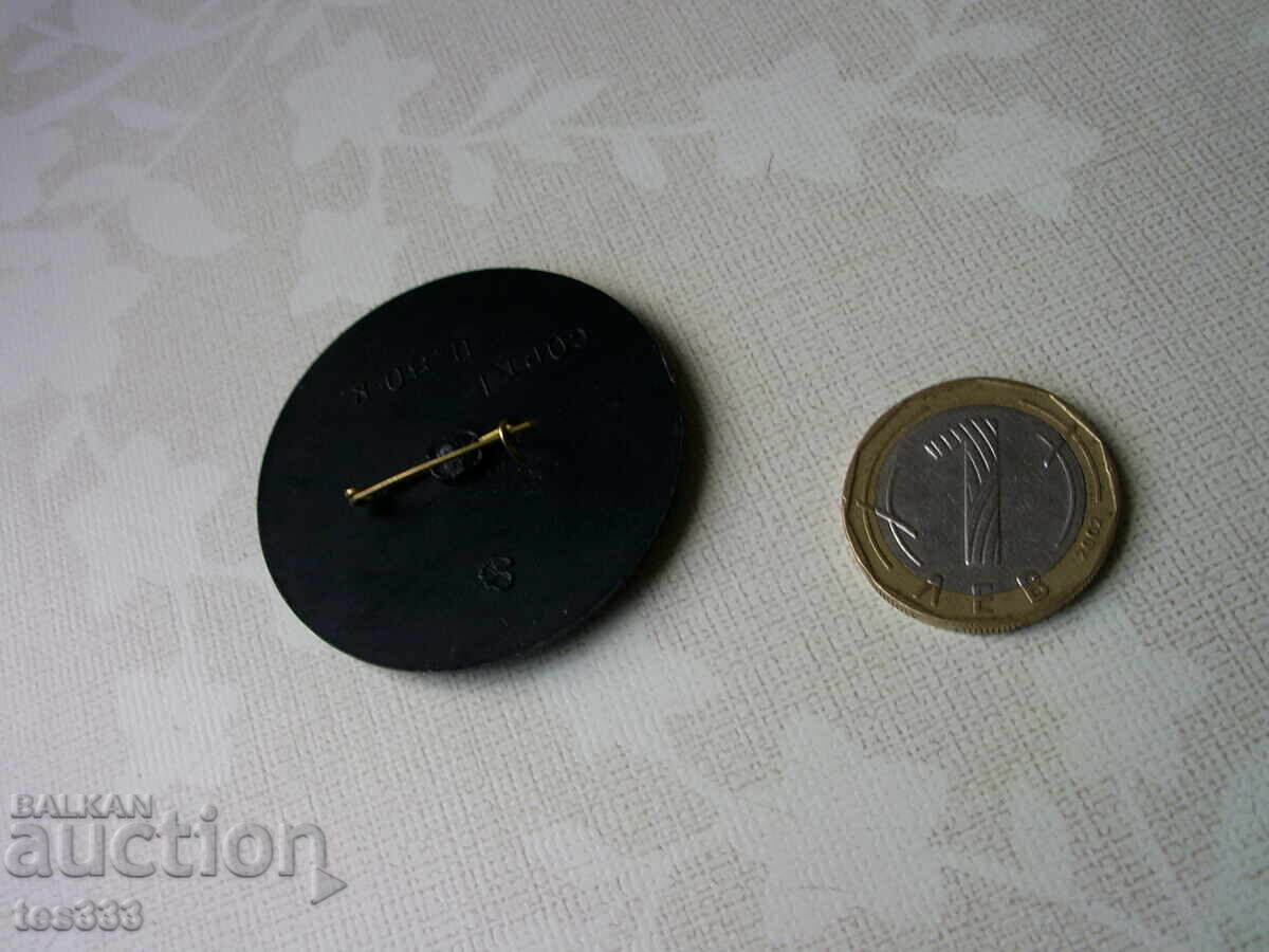 Broșă cu insignă pictată manual URSS - 7 Broșă cu insignă pictată manual URSS - 7