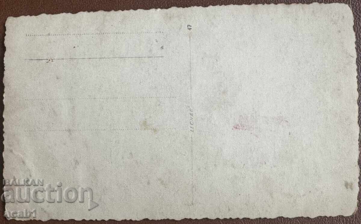 Tsar Boris among ZHOPEJI with price 79.99 BGN | € 40.90