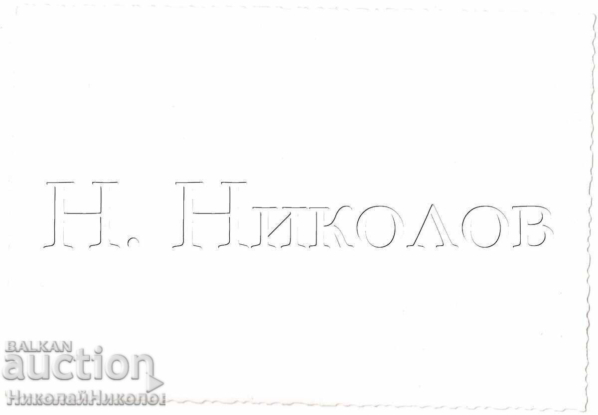 ΠΑΛΙΑ ΦΩΤΟΓΡΑΦΙΑ ΣΚΙΕΡ ΣΤΟ ΒΟΥΝΟ D427 με τιμή € 1.50 | 2.93 BGN