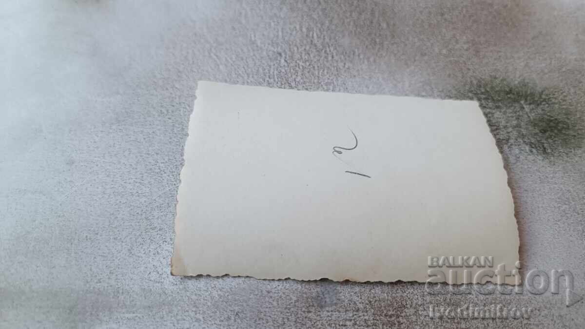 Photo Young men and women lying on the grass with price 1.65 BGN | € 0.84