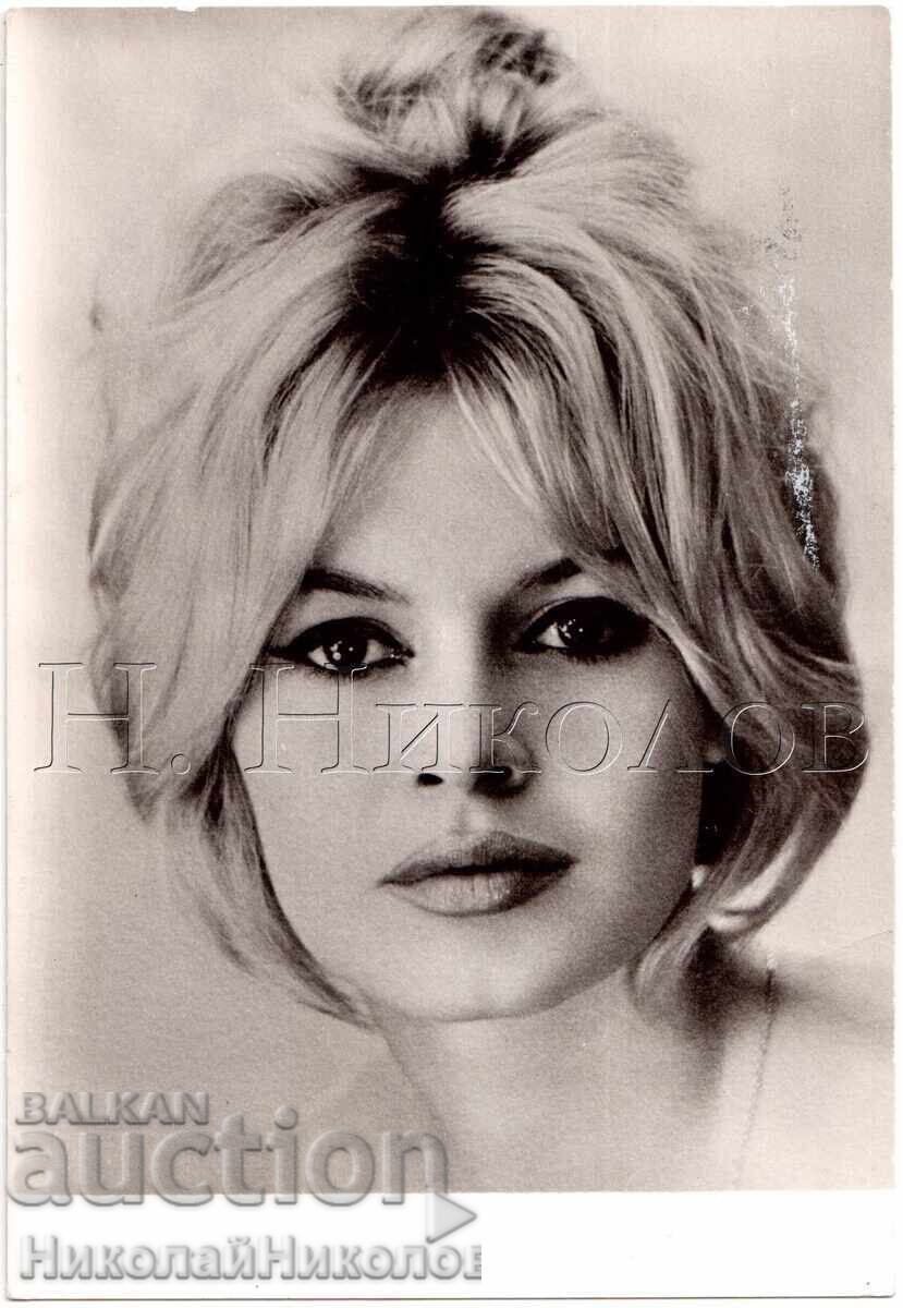 OLD CINEMA CARD ACTRESS ARTIST BRIDGET BARDO D433