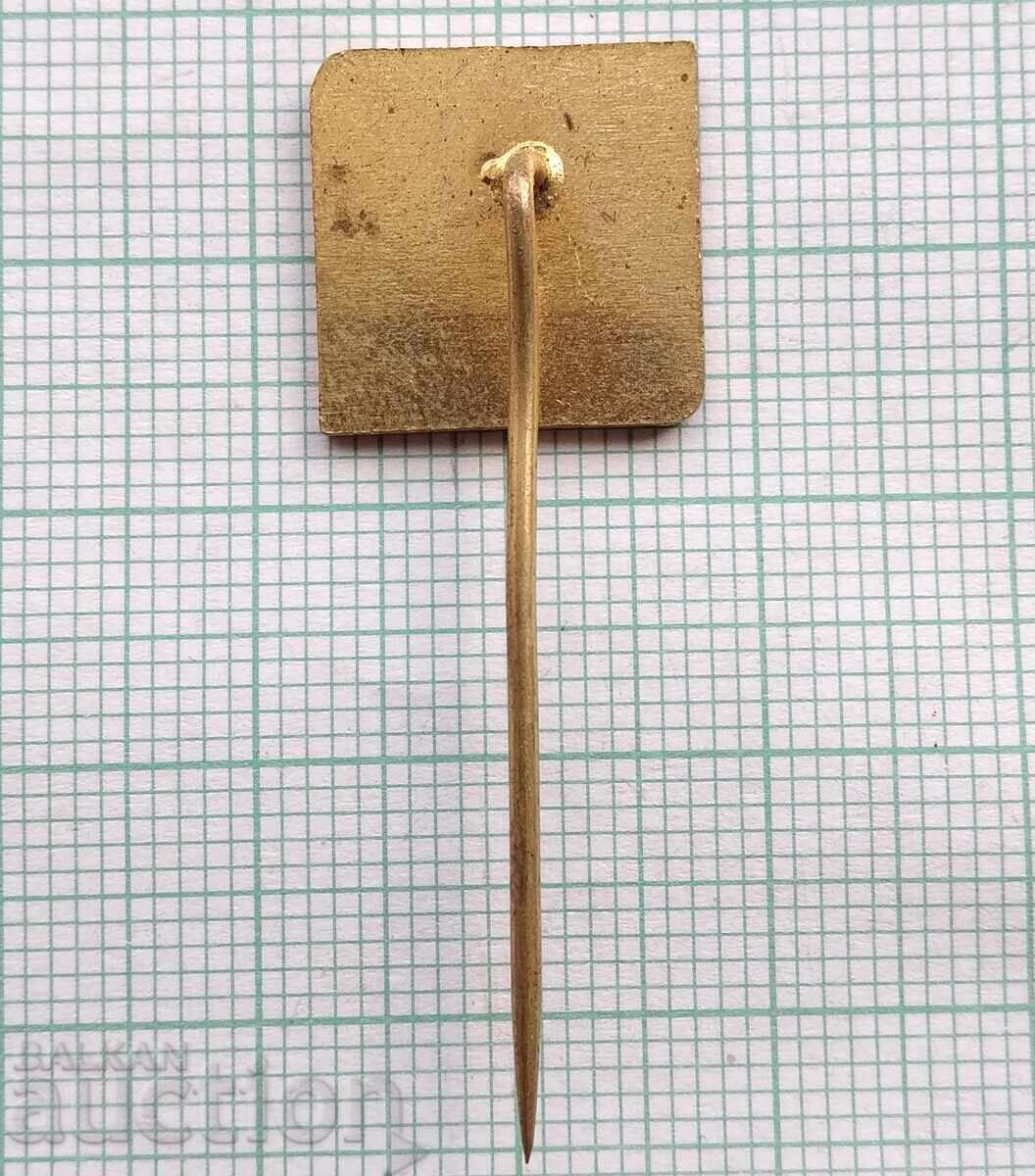 Auction  18113 Badge