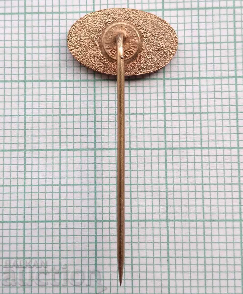 Licitație 18114 Insigna - AIK Šibacpromet Serbia Licitație 18114 Insigna - AIK Šibacpromet Serbia