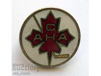 Badge 6 / Canada - Hockey