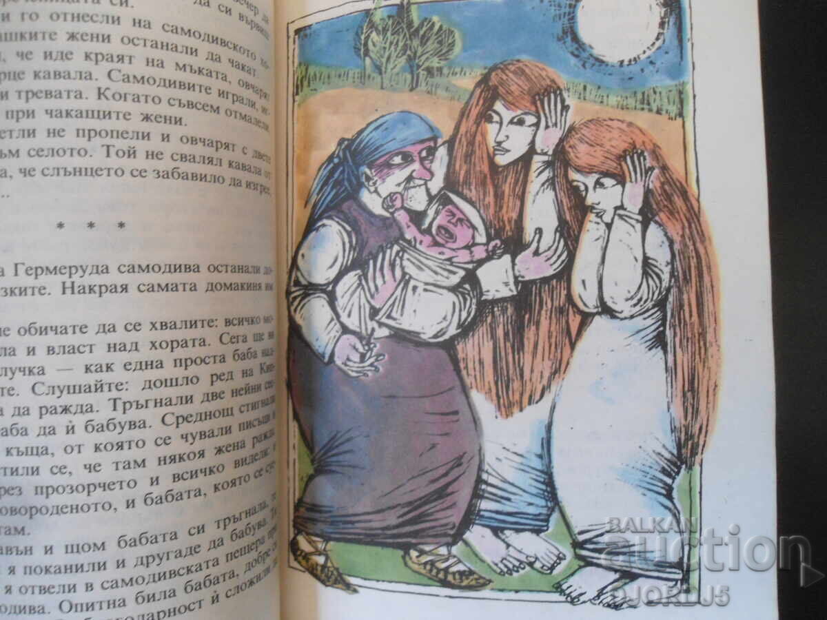 Livrarea Povești din satul Zmeykovo Livrarea Povești din satul Zmeykovo