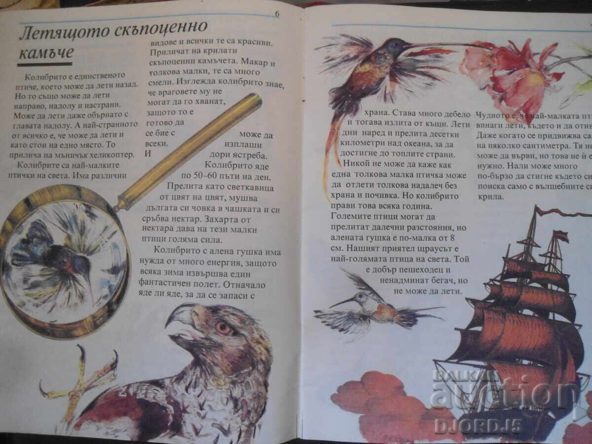 Auction Birds do such wonderful things Auction Birds do such wonderful things