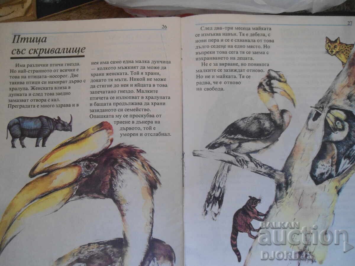 Delivery of Birds do such wonderful things Delivery of Birds do such wonderful things