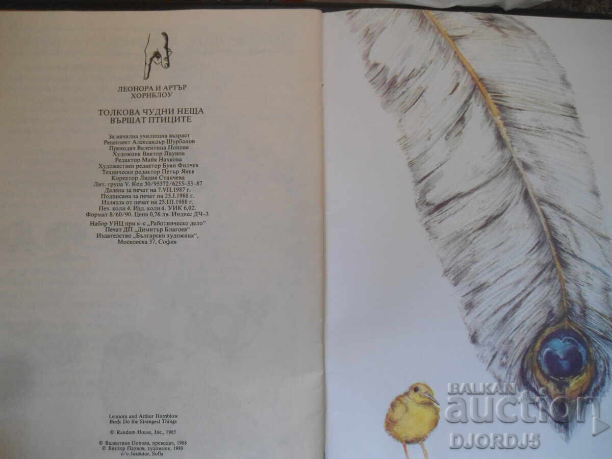 Birds do such wonderful things - 5 Birds do such wonderful things - 5