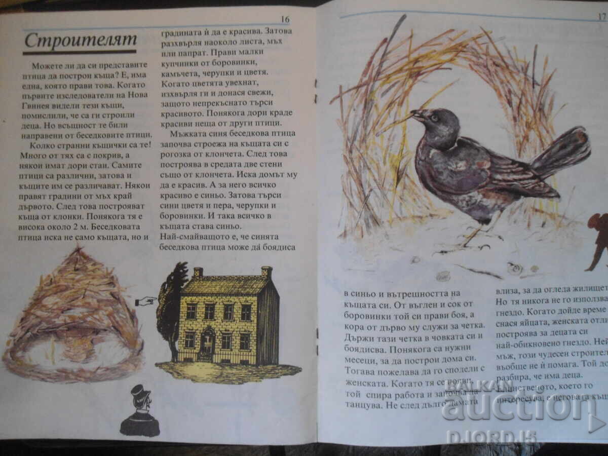 Birds do such wonderful things - 6 Birds do such wonderful things - 6