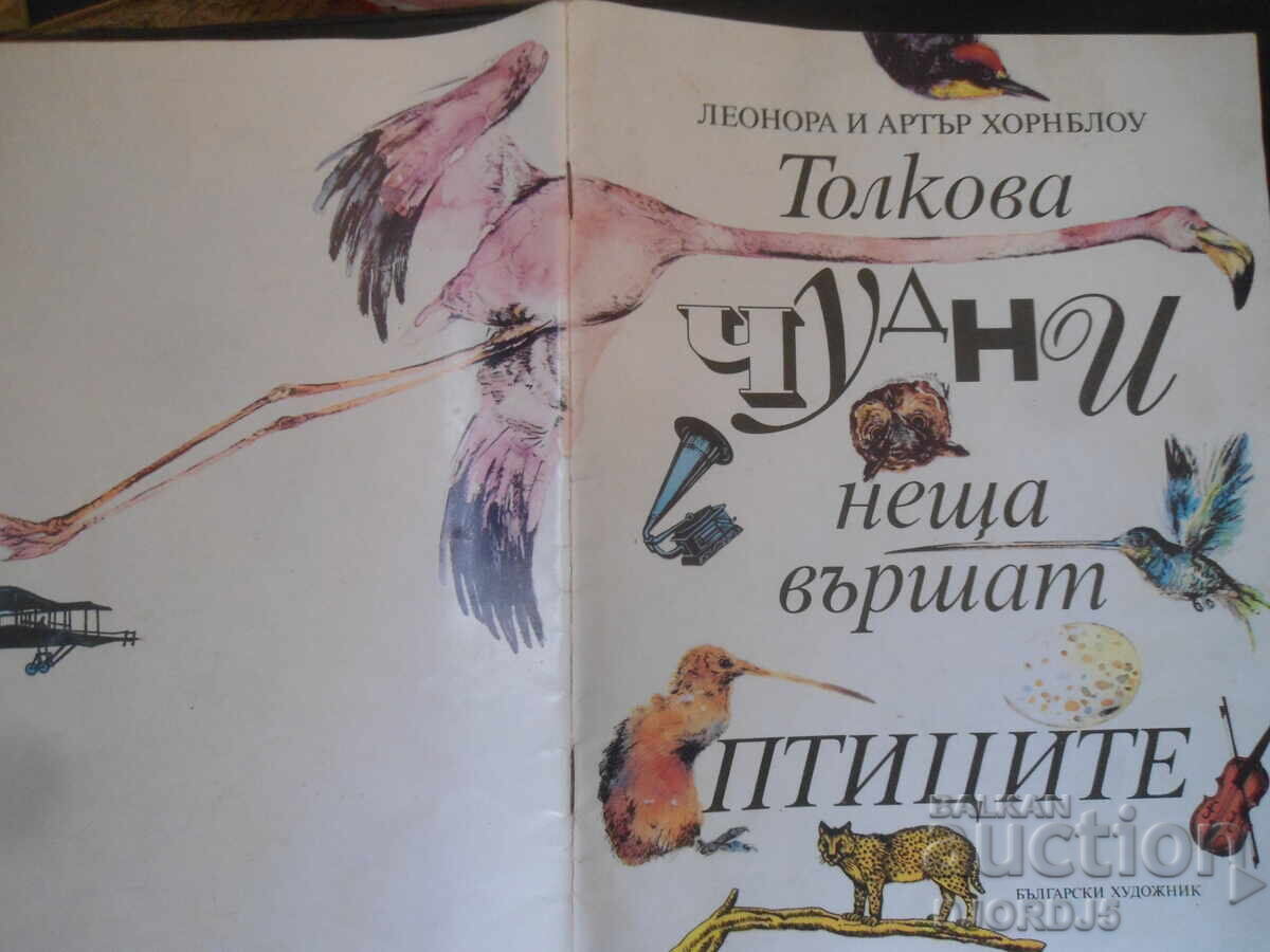 Birds do such wonderful things - 7 Birds do such wonderful things - 7