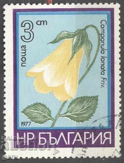 BULGARIA print 232 BULGARIA print 232