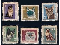 България 1967 - котки MNH