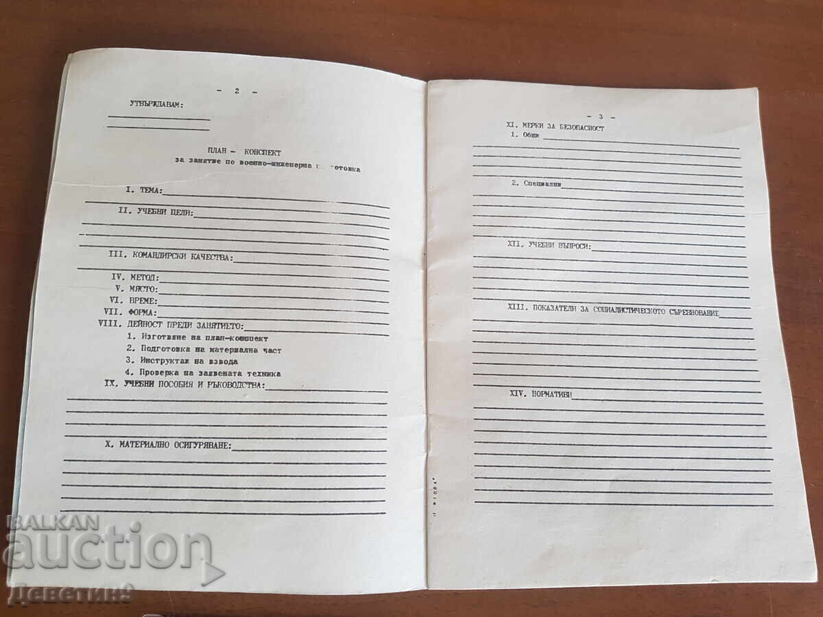 Auction Plan - outline (blank) Auction Plan - outline (blank)