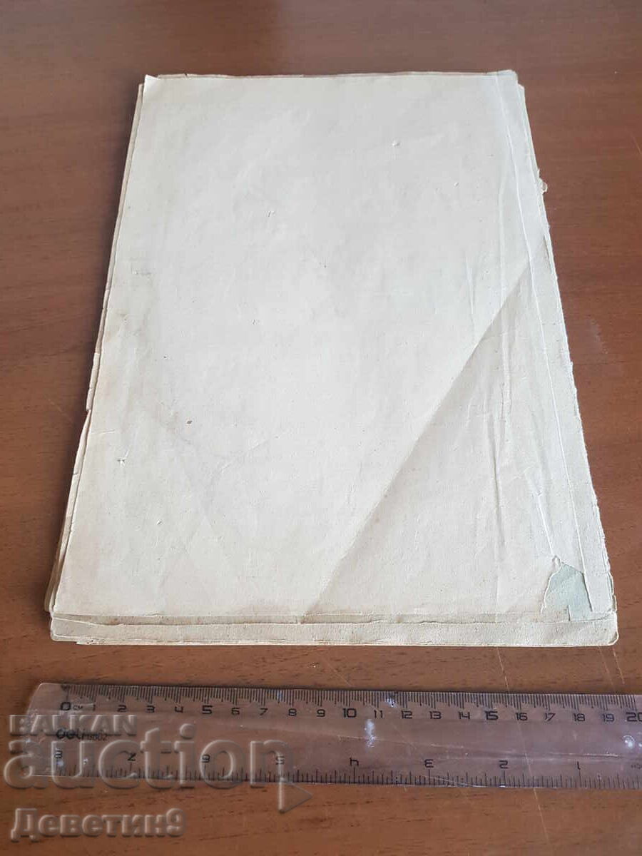 Buletinul „APRIM-M1” (rusă) - 5