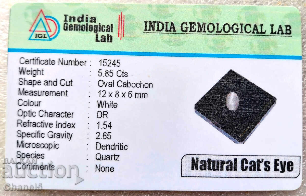 NATURAL WHITE 'CAT'S EYE' QUARTZ - CERTIFICATE - 5.85 ct (7) - 6