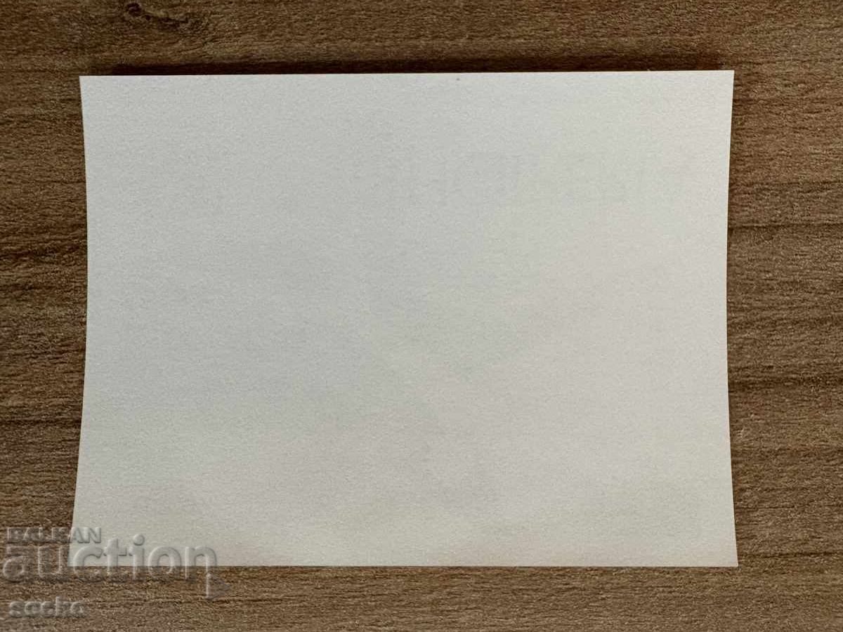 Albania - Stamps Europe - Peace and Freedom (1995) MNH with price 2.00 BGN | € 1.02 Albania - Stamps Europe - Peace and Freedom (1995) MNH with price 2.00 BGN | € 1.02