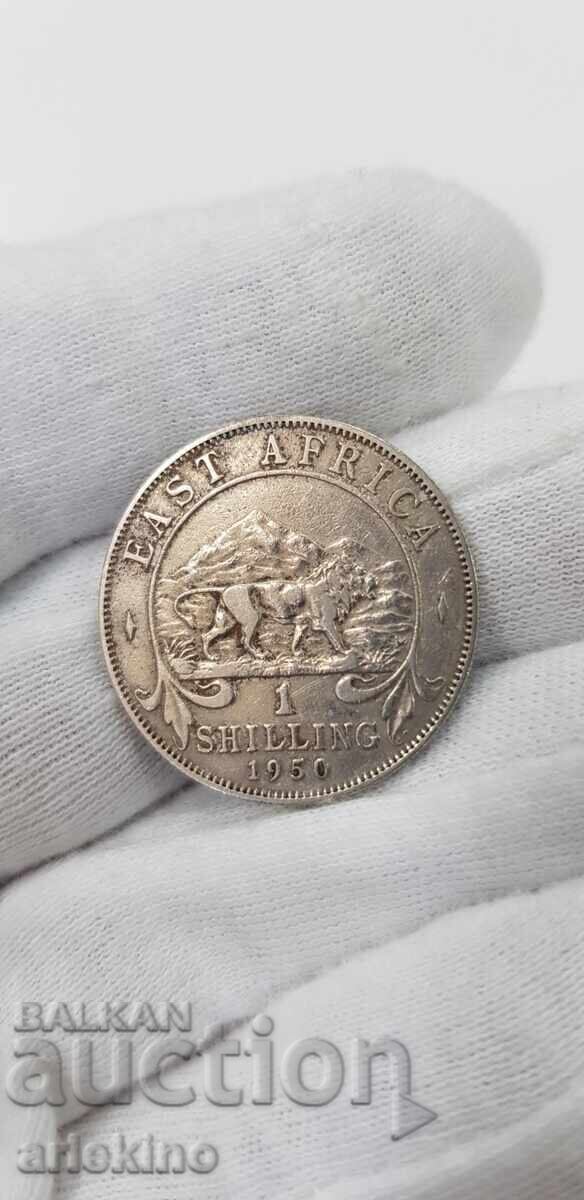 Collectible cupro-nickel coin 1 shilling 1950. East Africa Collectible cupro-nickel coin 1 shilling 1950. East Africa