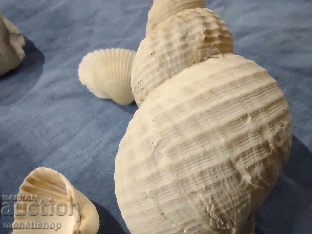 Δώρα στον ωκεανό. με τιμή 20.00 BGN | € 10.23 Δώρα στον ωκεανό. με τιμή 20.00 BGN | € 10.23