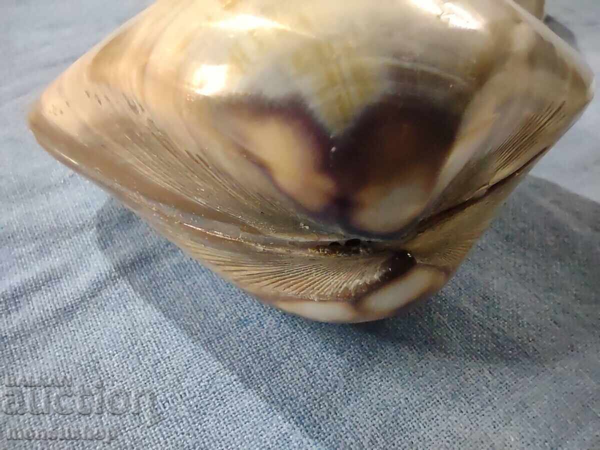 Παράδοση Δώρα στον ωκεανό. Παράδοση Δώρα στον ωκεανό.