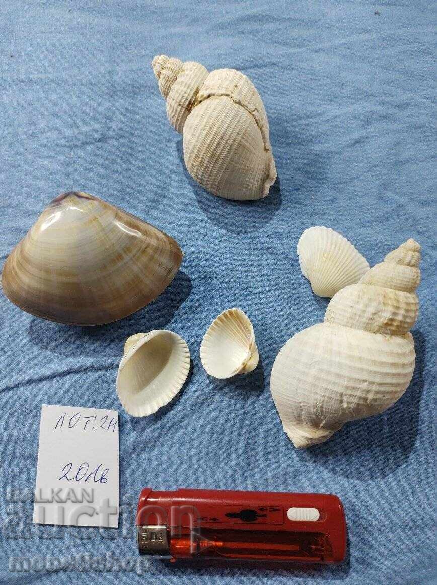 Δώρα στον ωκεανό. Δώρα στον ωκεανό.