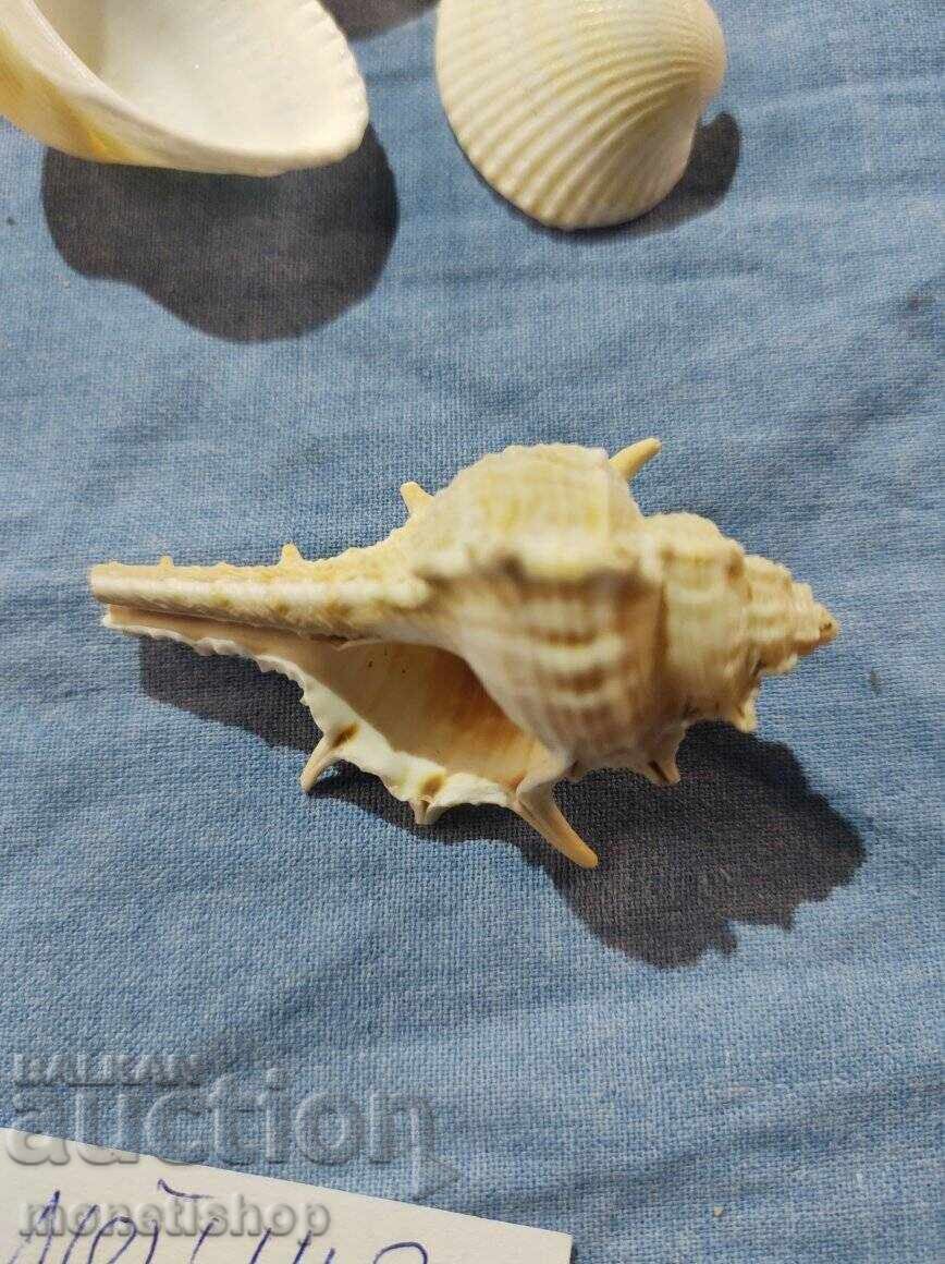 Δώρα στον ωκεανό. με τιμή 12.00 BGN | € 6.14