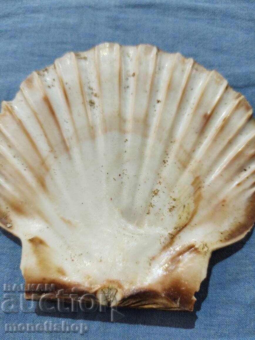 Δημοπρασία Δώρα στον ωκεανό.