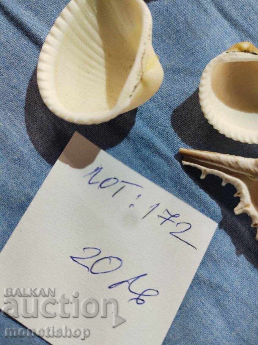 Auction Ocean gifts. Auction Ocean gifts.