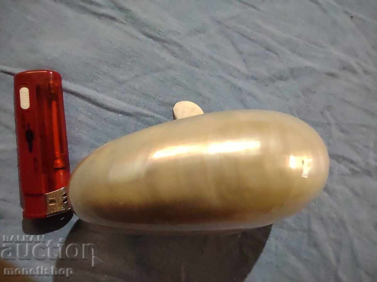 Ocean gifts. Mother-of-pearl Nautilus - 6 Ocean gifts. Mother-of-pearl Nautilus - 6