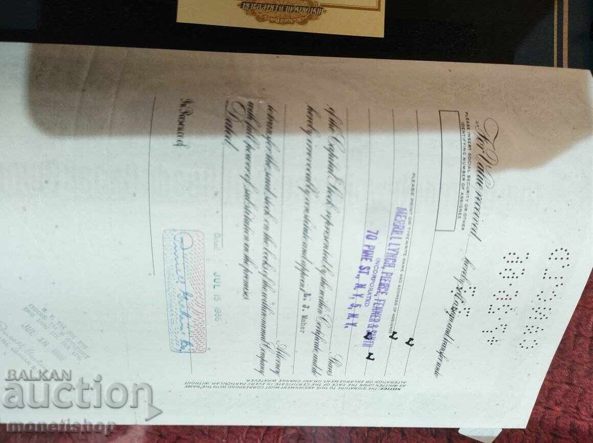 American securities - 5 American securities - 5