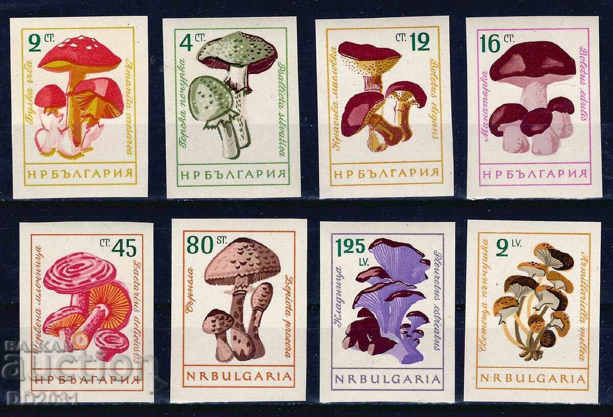 Bulgaria 1961 - mushrooms imperforate MNH
