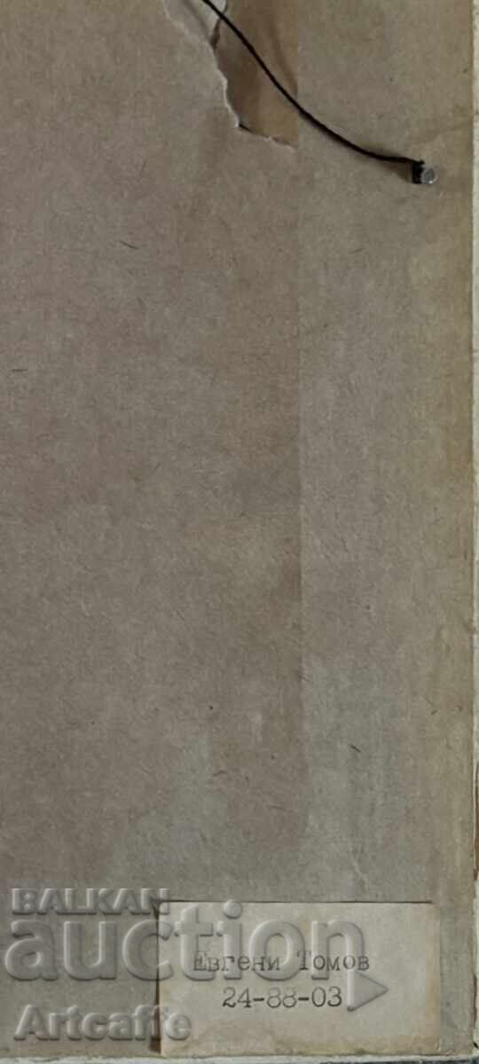 Evgeni Tomov-Forest landscape, oil, signed - 5 Evgeni Tomov-Forest landscape, oil, signed - 5