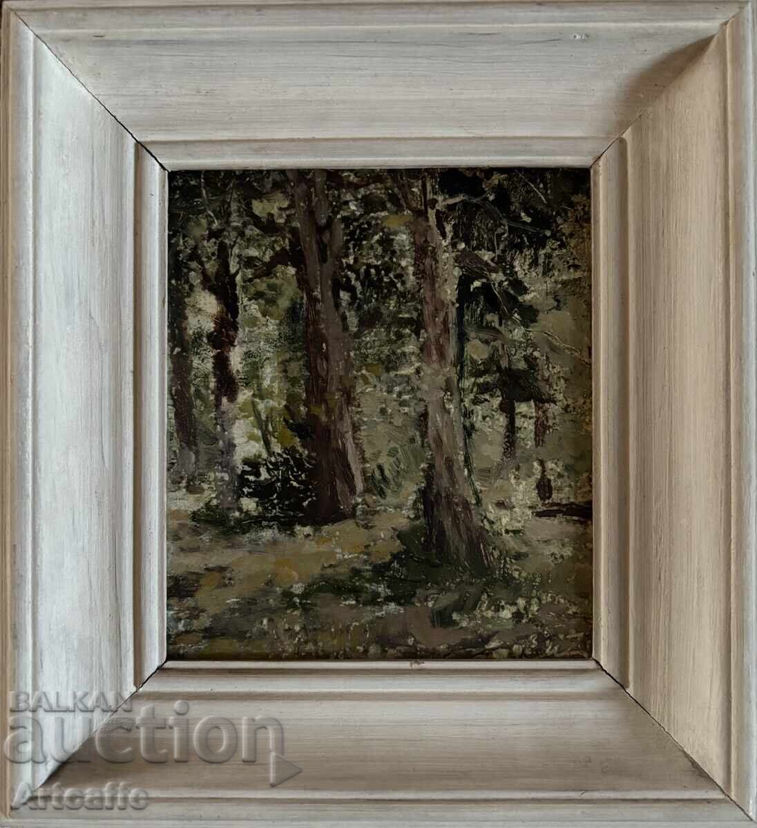 Evgeni Tomov-Forest landscape, oil, signed Evgeni Tomov-Forest landscape, oil, signed
