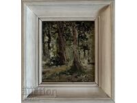 Evgeni Tomov-Forest landscape, oil, signed