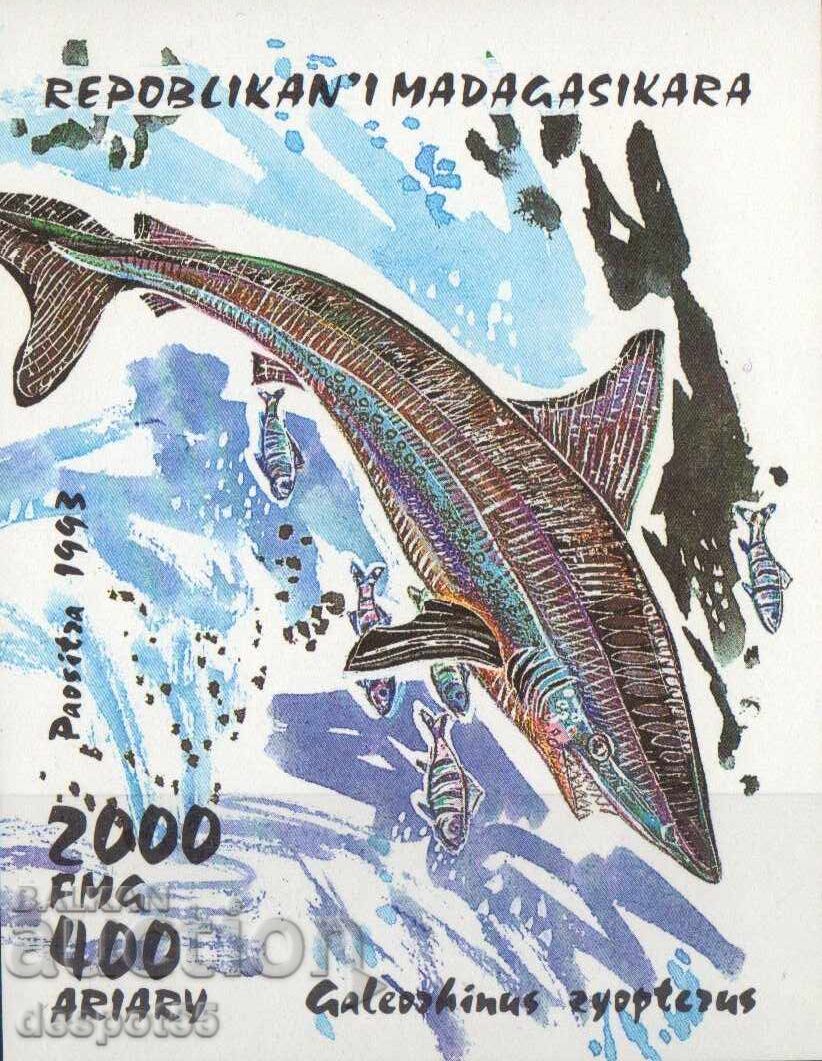 1993. Μπενίν. Καρχαρίες. Φραγμός.