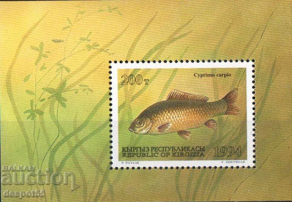 1994. Киргизстан. Риби. Блок.