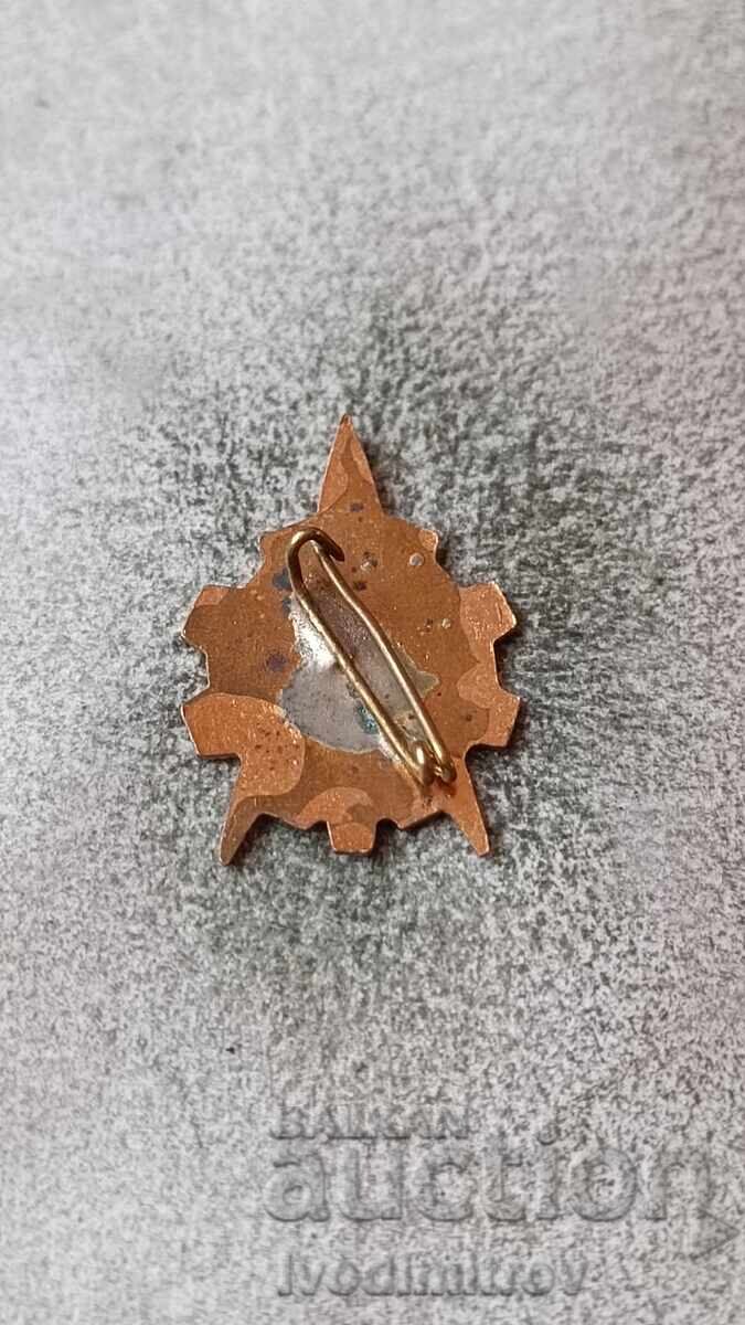 Young Technician Badge with price 4.65 BGN | € 2.38 Young Technician Badge with price 4.65 BGN | € 2.38