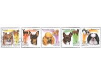 Pure stamps Fauna Dogs 2008 from Russia