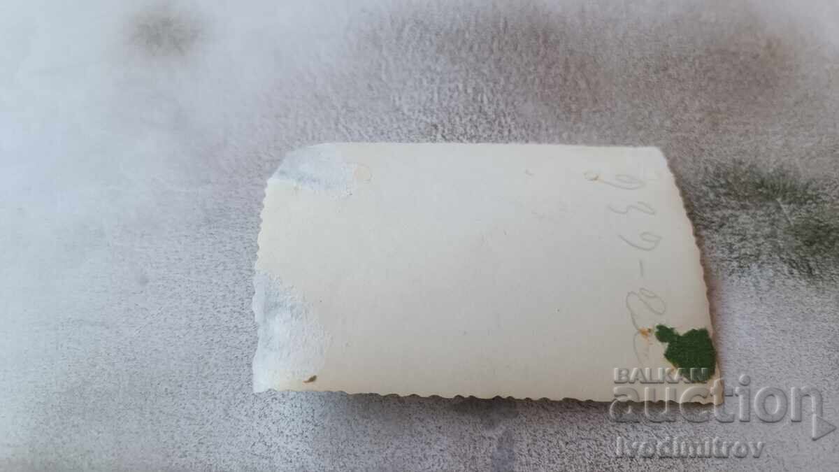 Photo: Young men and women in front of tents with price 1.65 BGN | € 0.84 Photo: Young men and women in front of tents with price 1.65 BGN | € 0.84