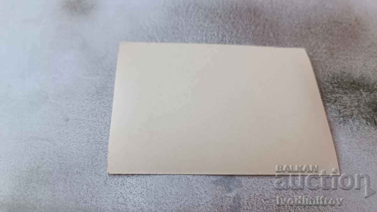 Φωτογραφία Μικρό αγόρι σε έναν πέτρινο τοίχο στην παραλία με τιμή 2.35 BGN | € 1.20 Φωτογραφία Μικρό αγόρι σε έναν πέτρινο τοίχο στην παραλία με τιμή 2.35 BGN | € 1.20