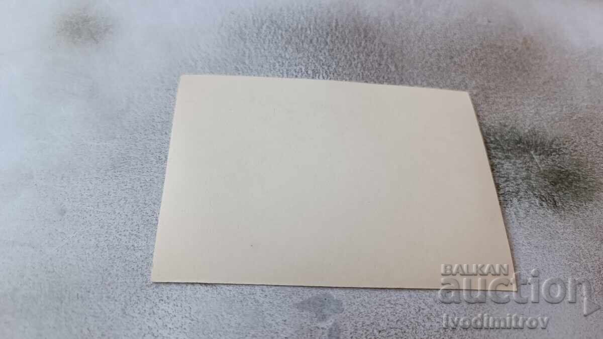 Снимка Момченце на брега на морето с цена 2.35 лв. | € 1.20 Снимка Момченце на брега на морето с цена 2.35 лв. | € 1.20