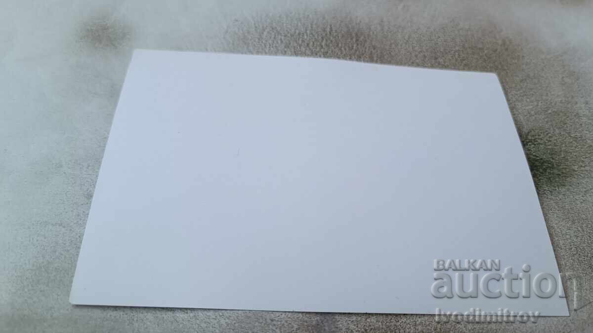 Foto Băiat cu aripi în mare cu preț 2.35 BGN | € 1.20 Foto Băiat cu aripi în mare cu preț 2.35 BGN | € 1.20