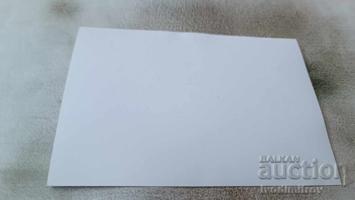 Foto Băiat cu aripi pe malul mării cu preț 2.35 BGN | € 1.20 Foto Băiat cu aripi pe malul mării cu preț 2.35 BGN | € 1.20