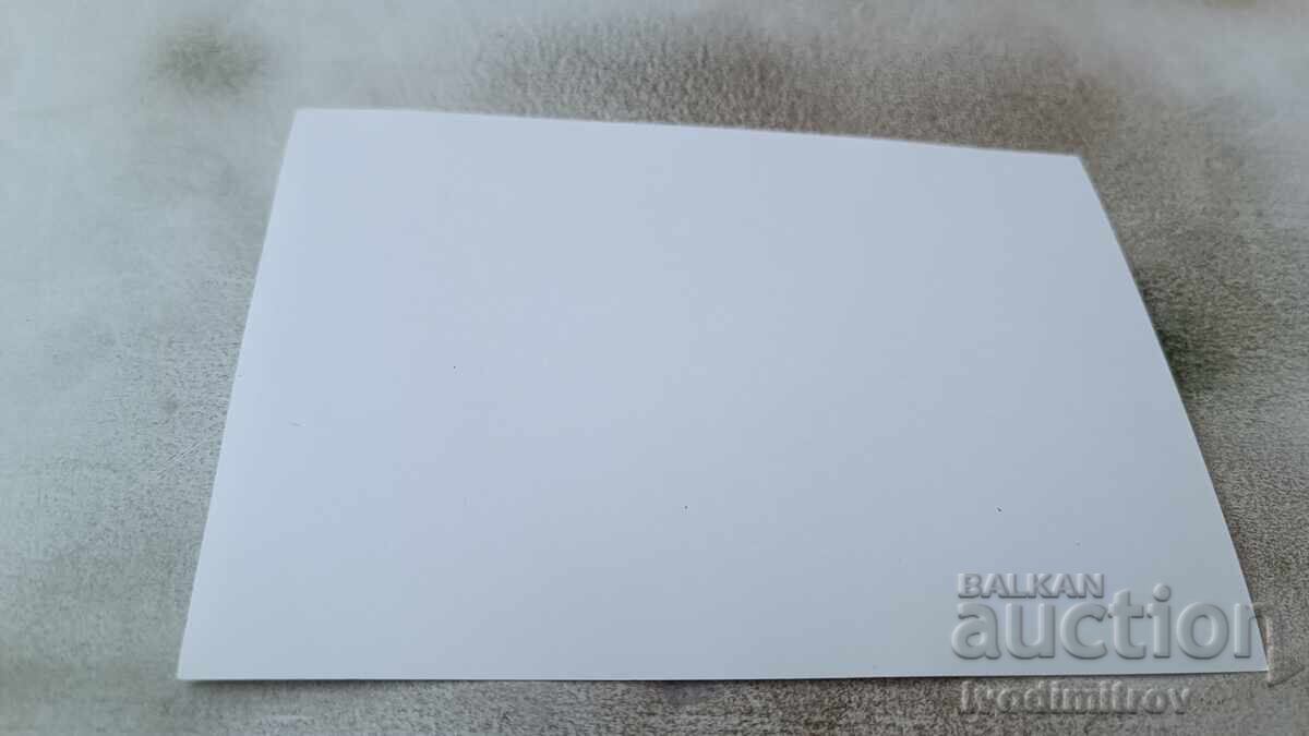 Photo Young man digging in the sand on the beach with price 1.85 BGN | € 0.95 Photo Young man digging in the sand on the beach with price 1.85 BGN | € 0.95