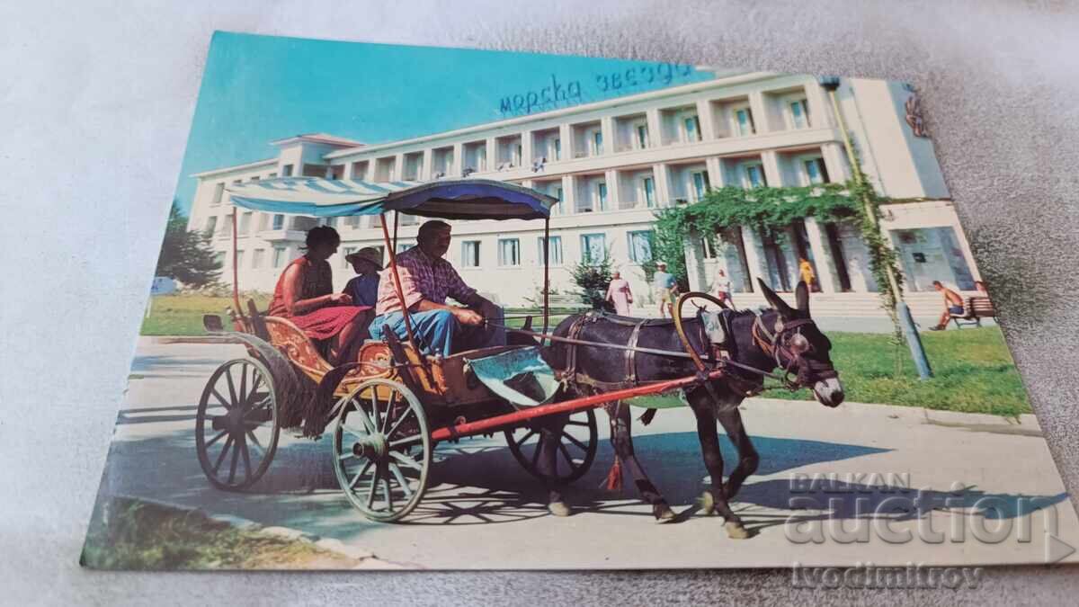 Postcard Golden Sands Hotel Sea Star Postcard Golden Sands Hotel Sea Star