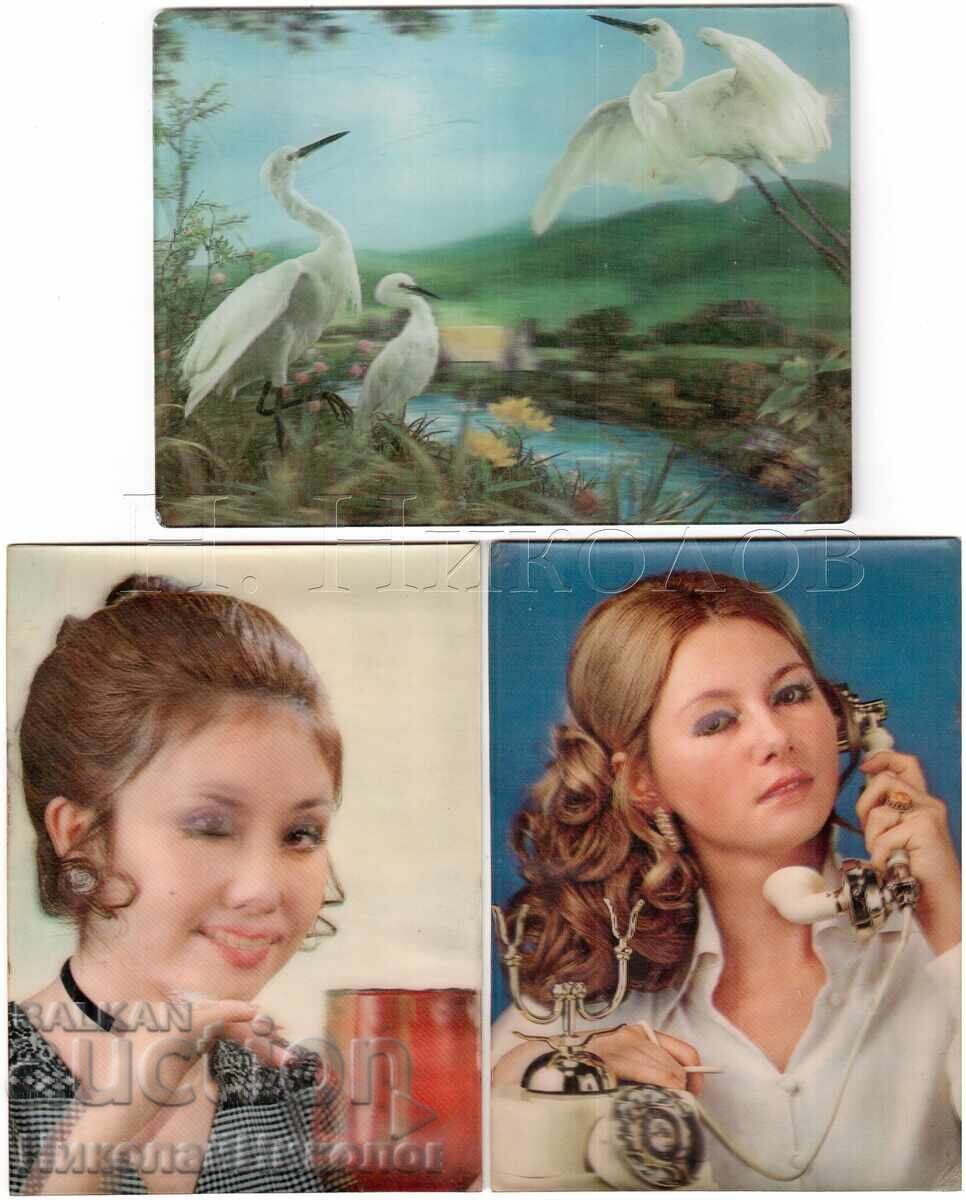 3x ΠΑΛΙΕΣ ΣΤΕΡΕΟΦΩΤΟΓΡΑΦΙΕΣ MADAME PELICAN D462