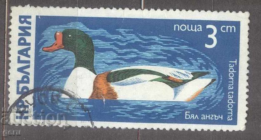 BULGARIA tipar 212 1
