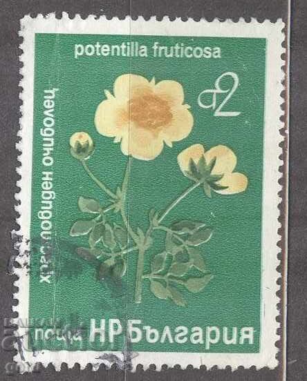 BULGARIA print 212 1