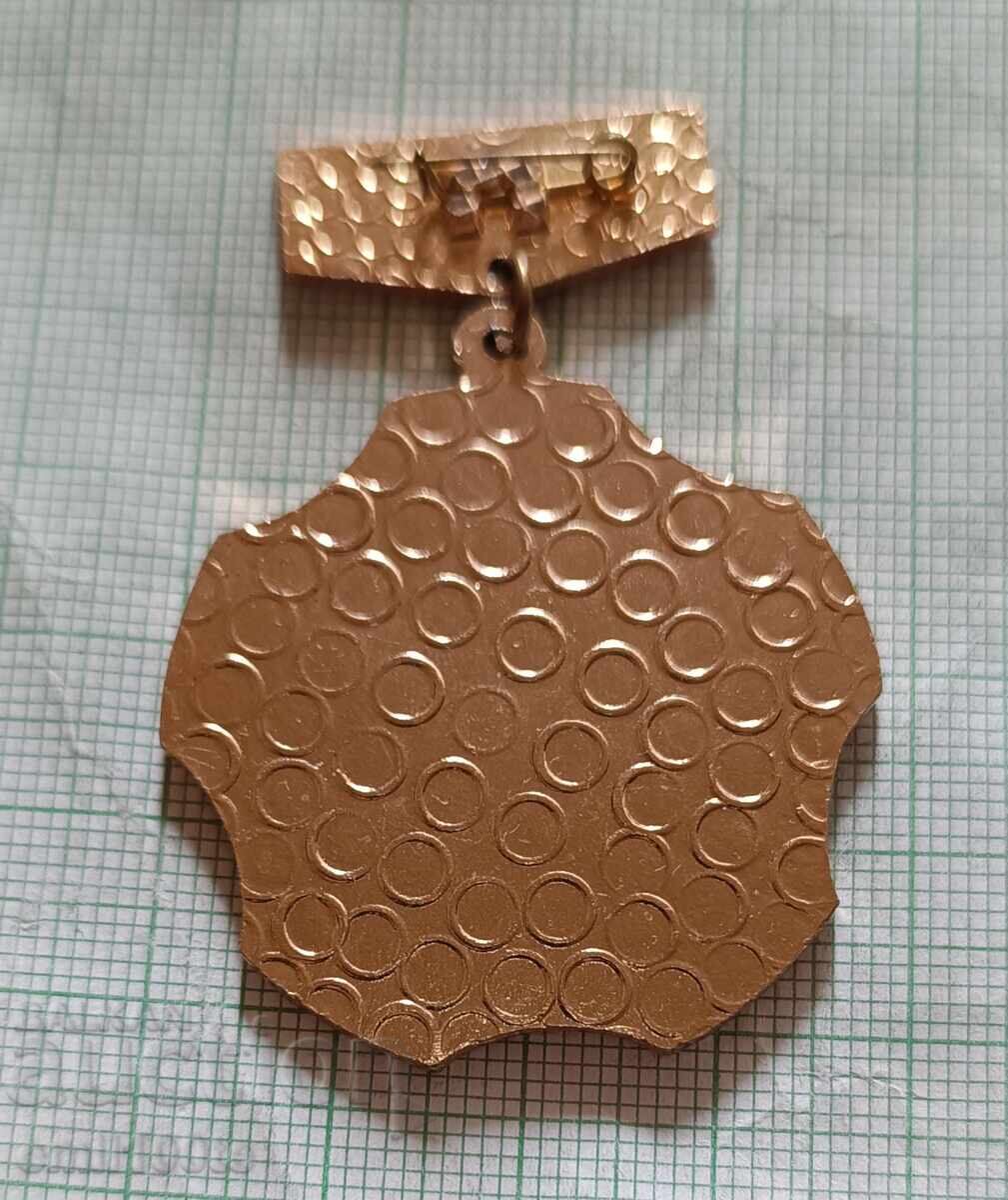 Delivery of Badge - Champion Ukrainian Republican Council DSO Delivery of Badge - Champion Ukrainian Republican Council DSO